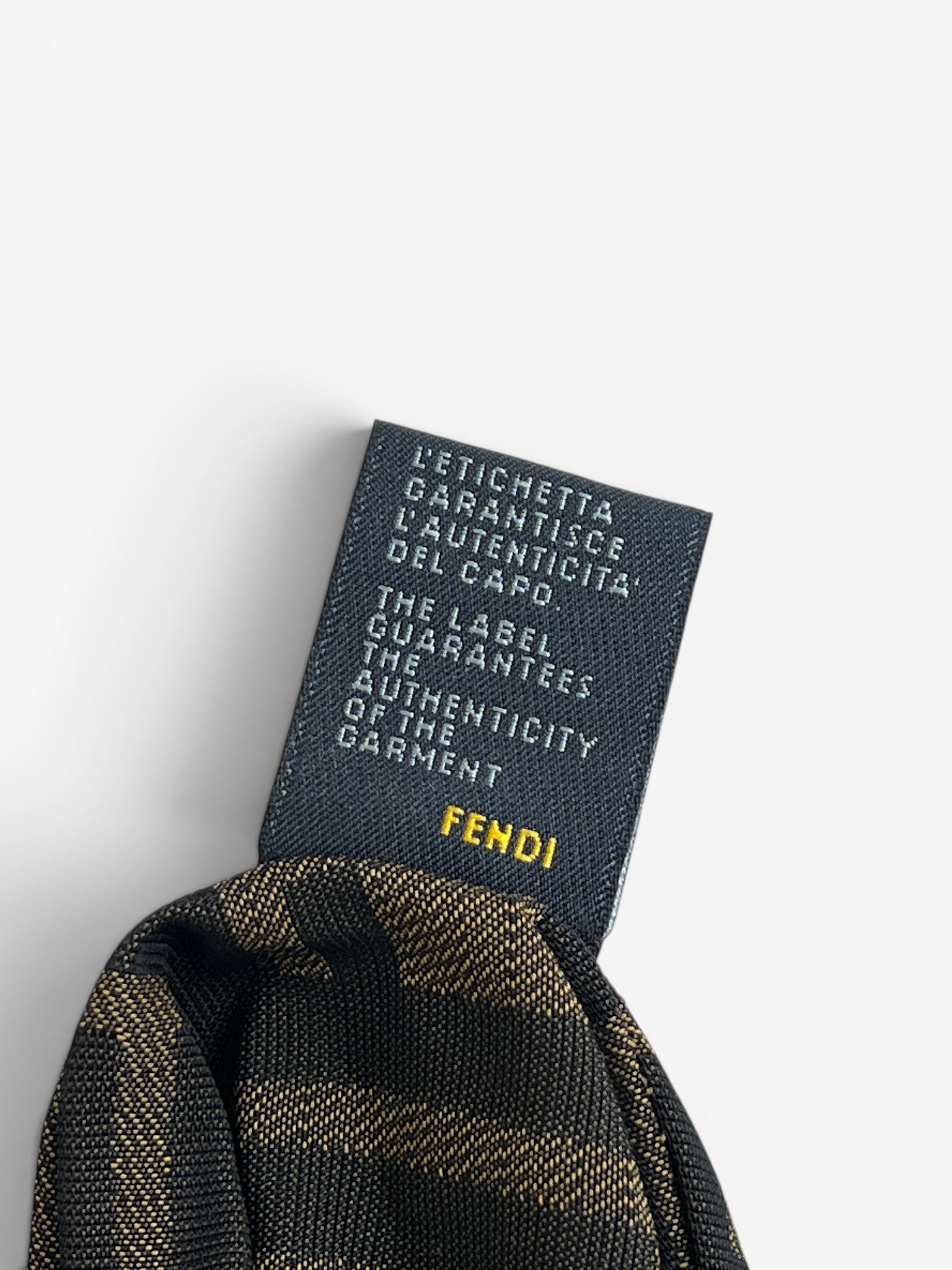 Fendi spy bag