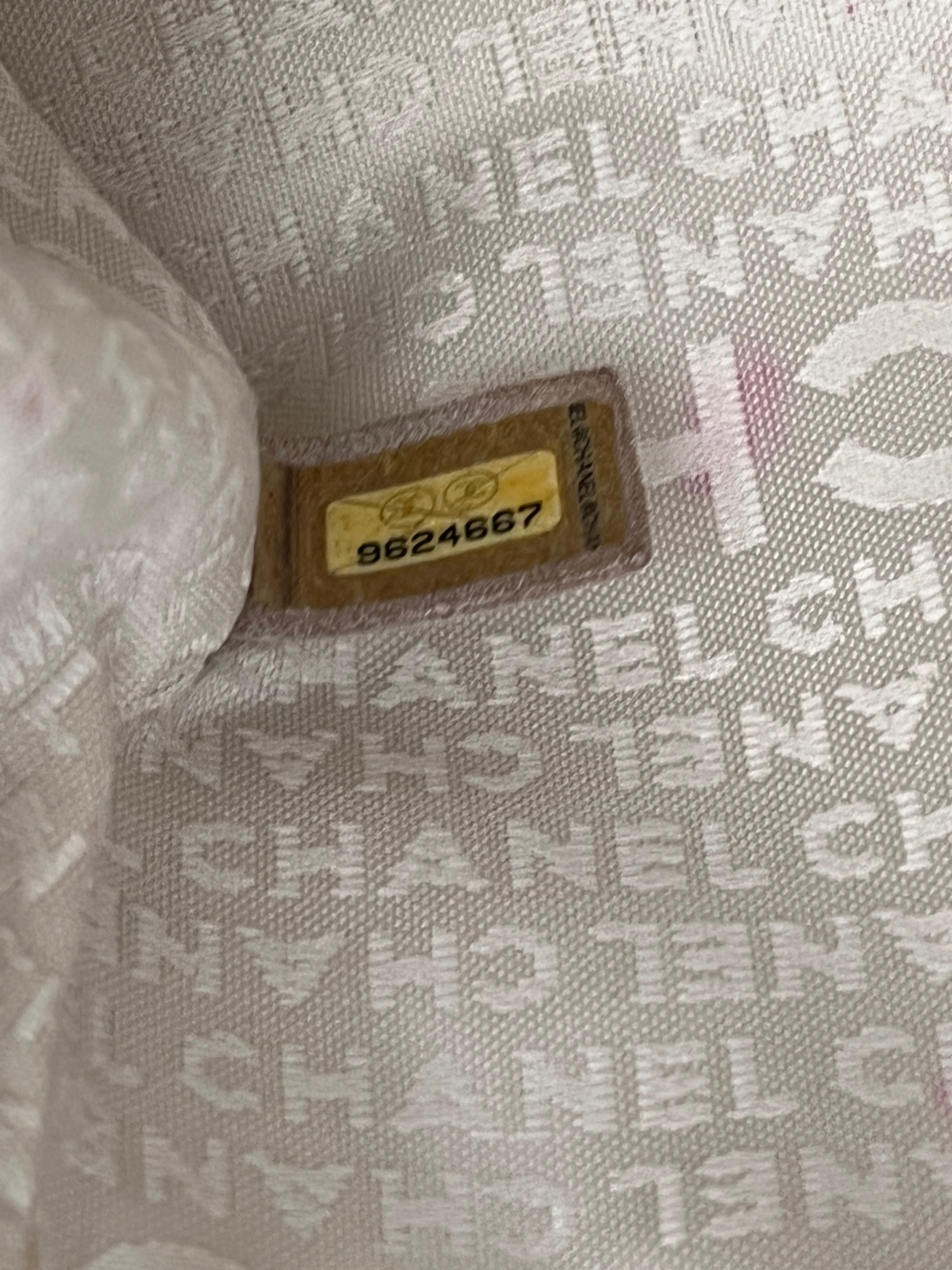 Chanel Python Clutch