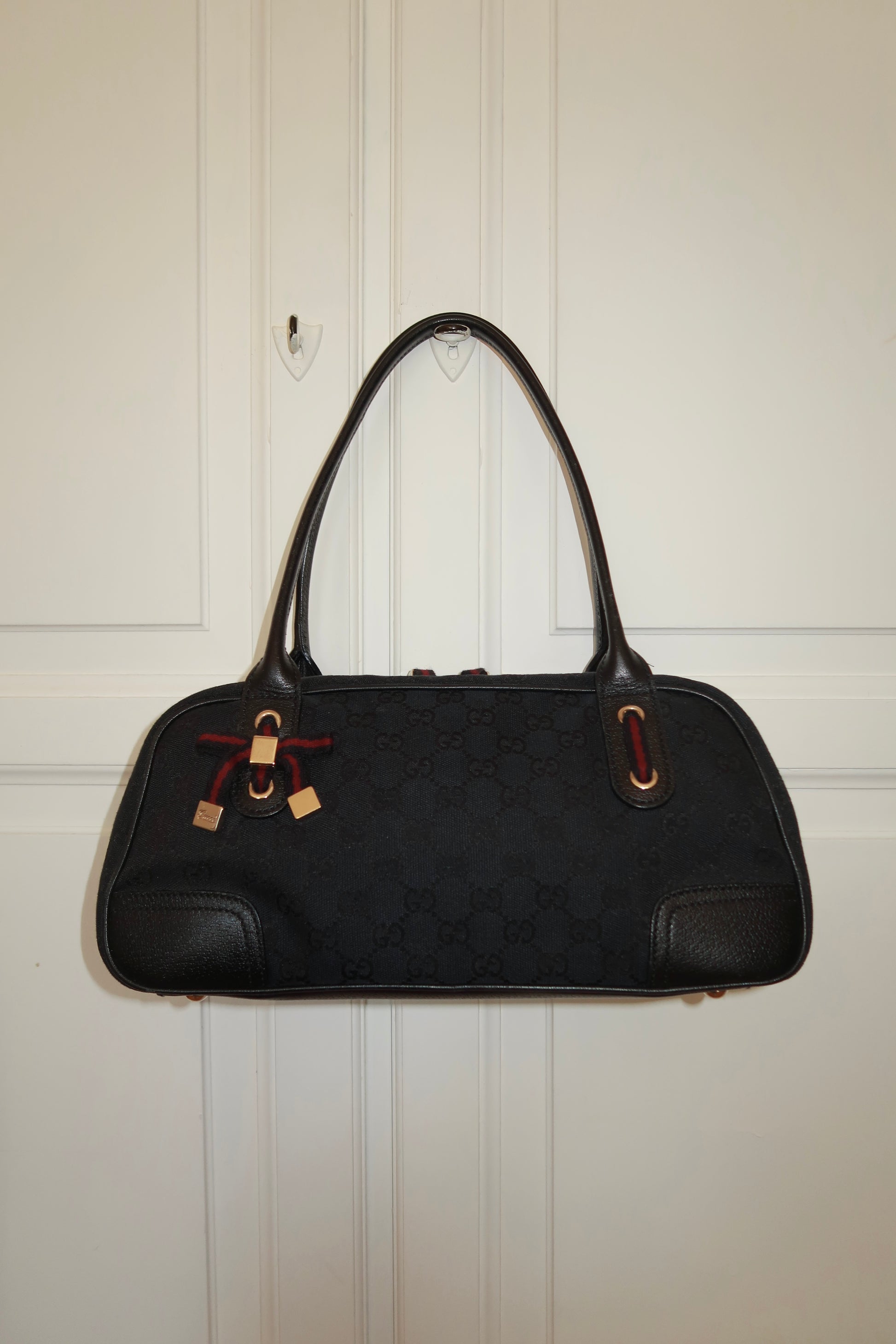 Gucci Canvas princy