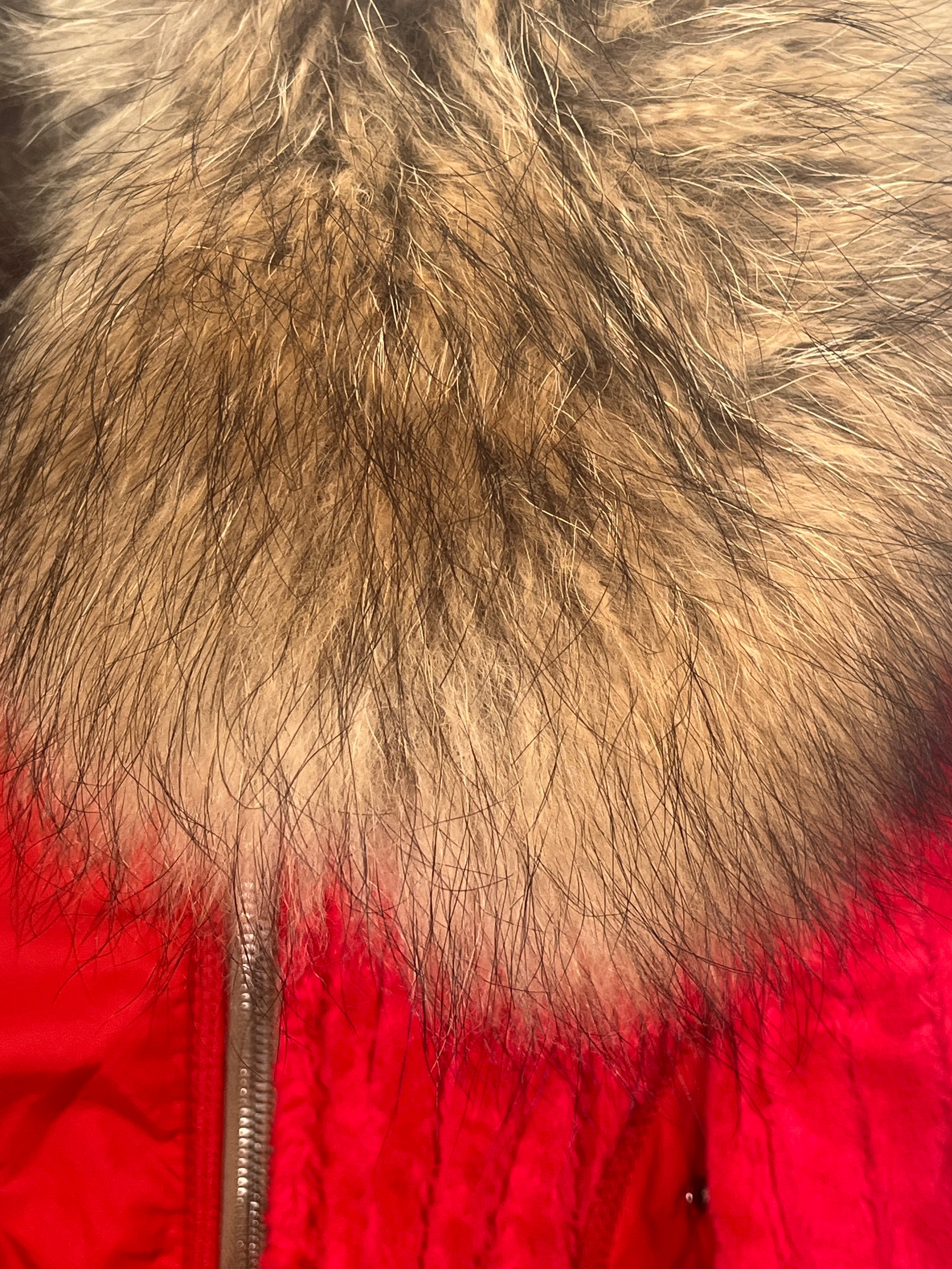 Carolina Herrera Coat