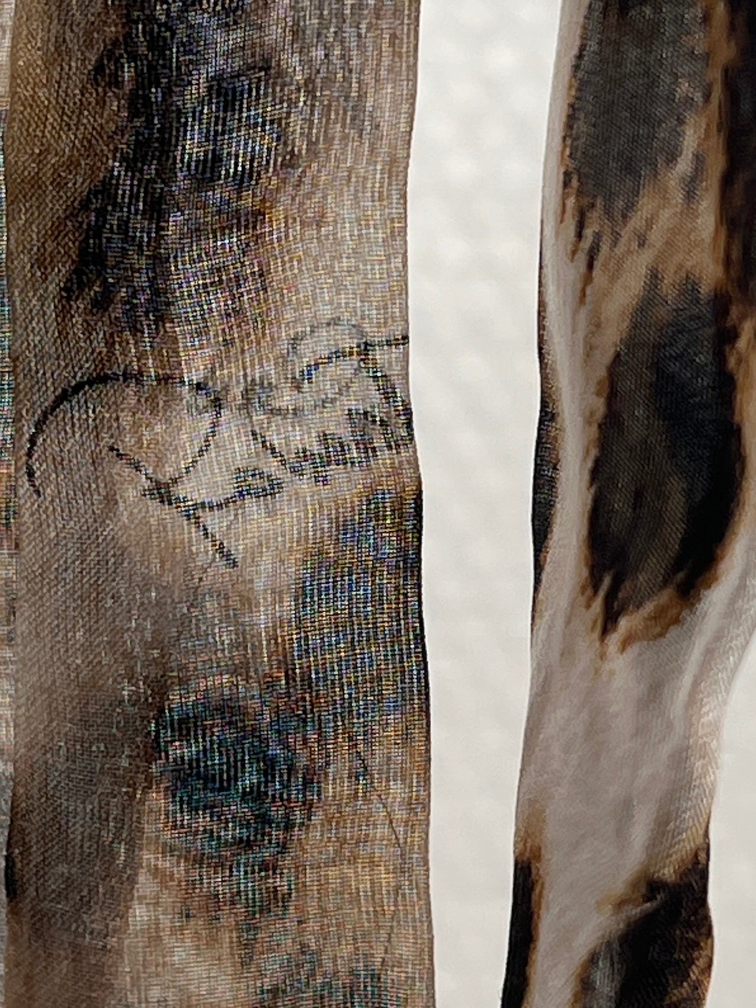 Roberto Cavalli Cardigan