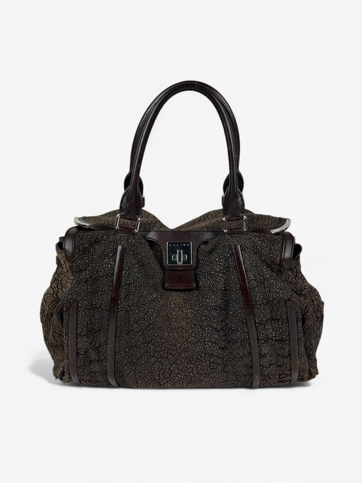 Celine Exotic Tote bag