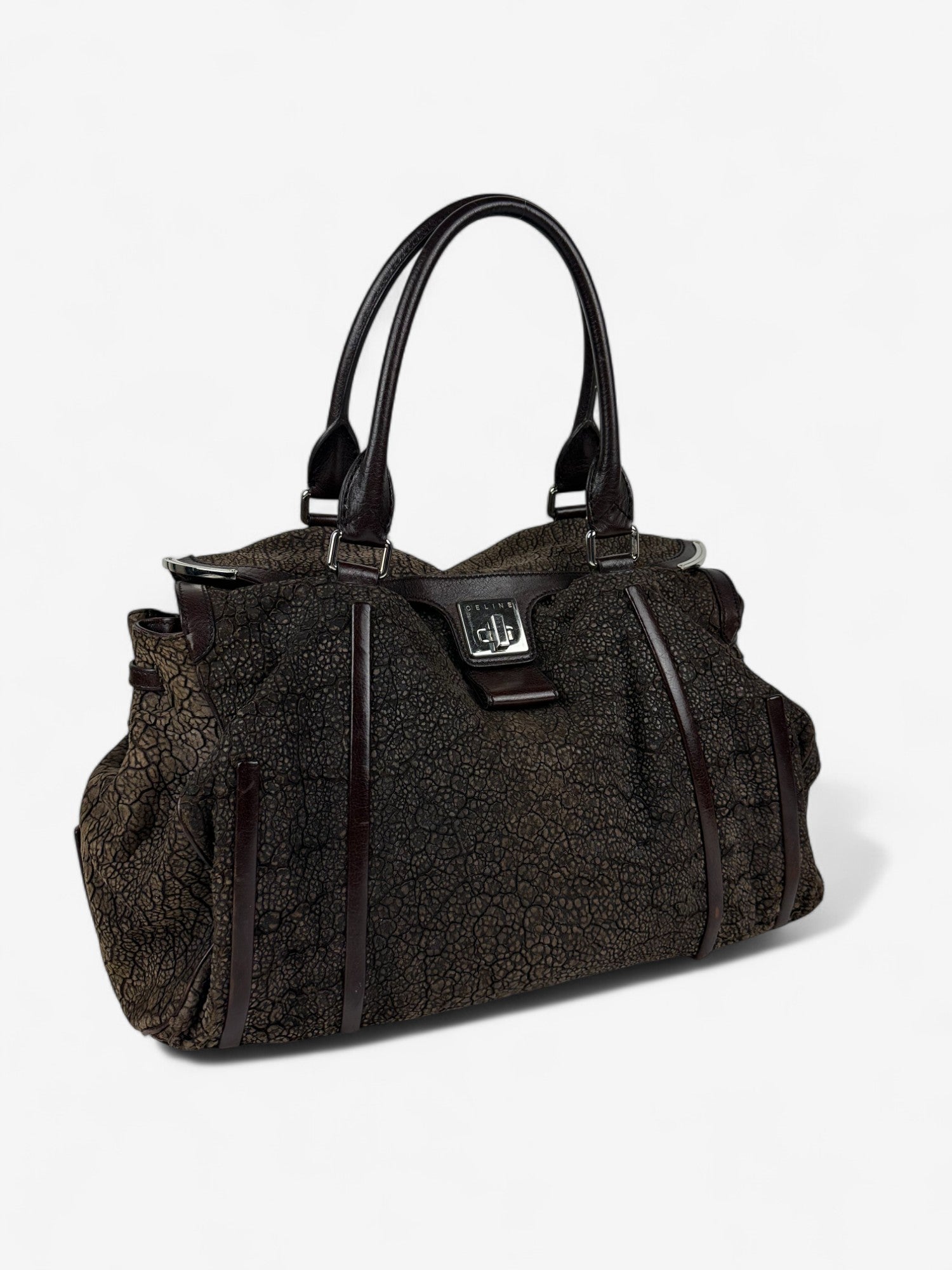 Celine Exotic Tote bag