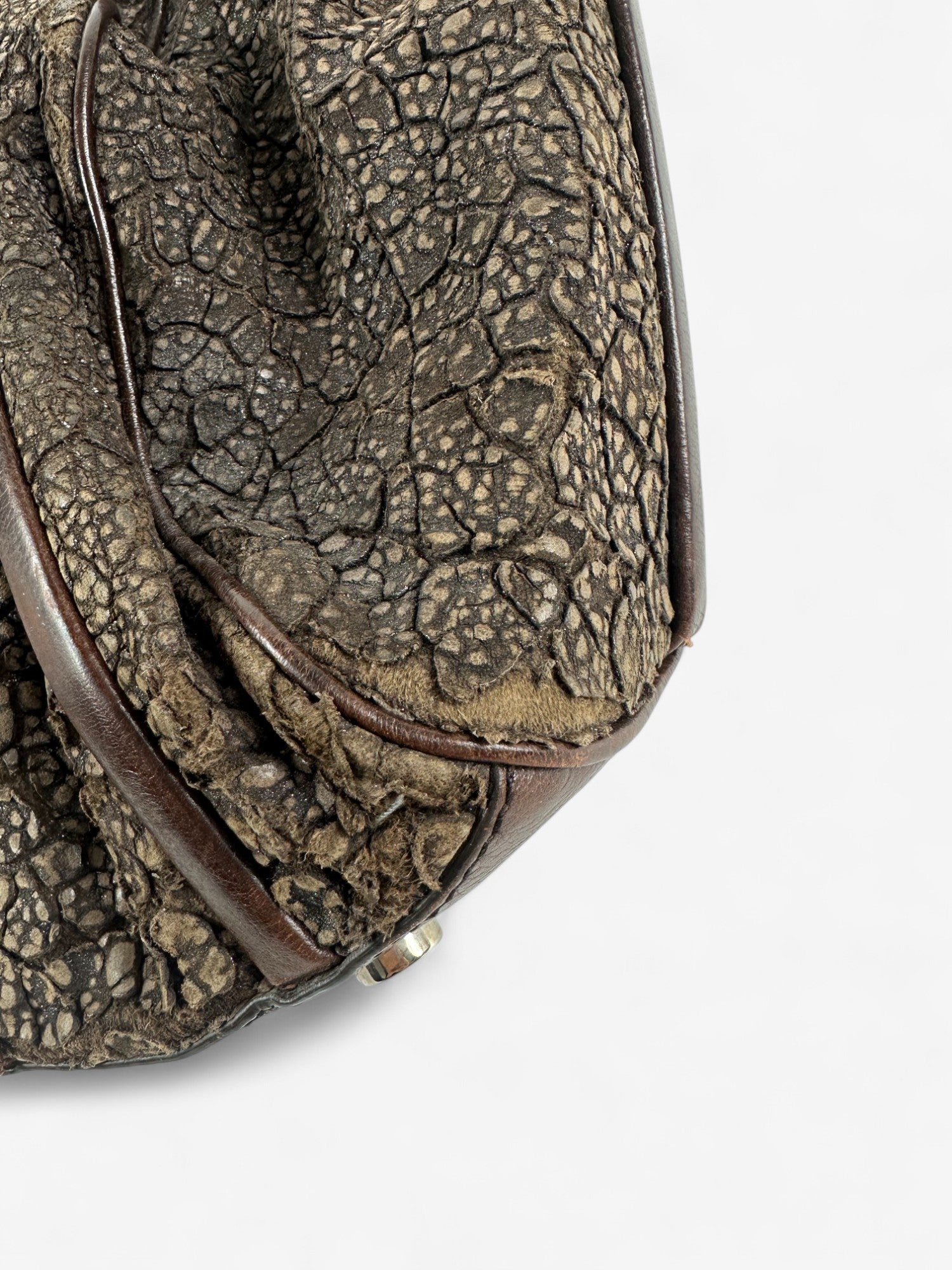 Celine Exotic Tote bag