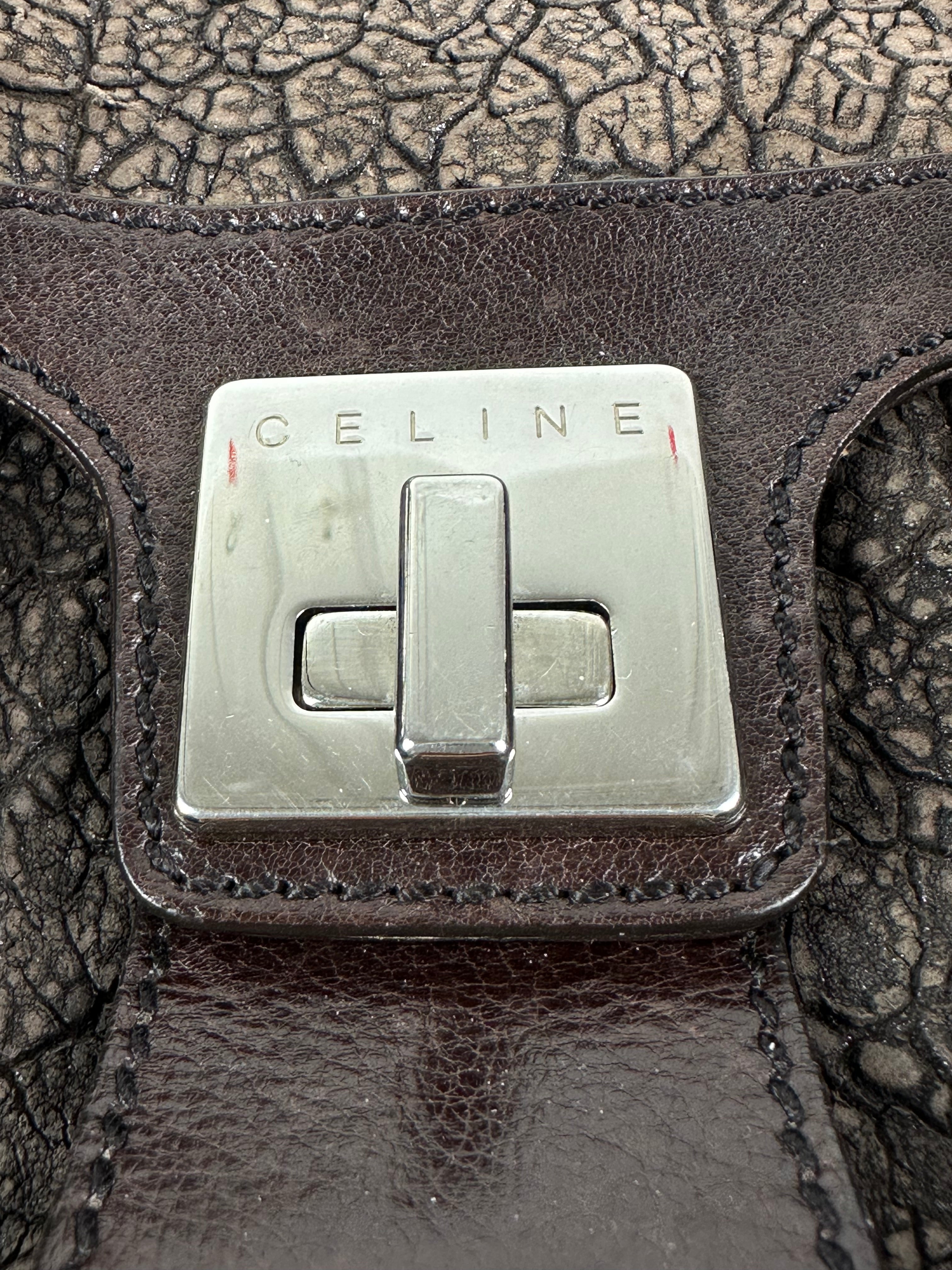 Celine Exotic Tote bag