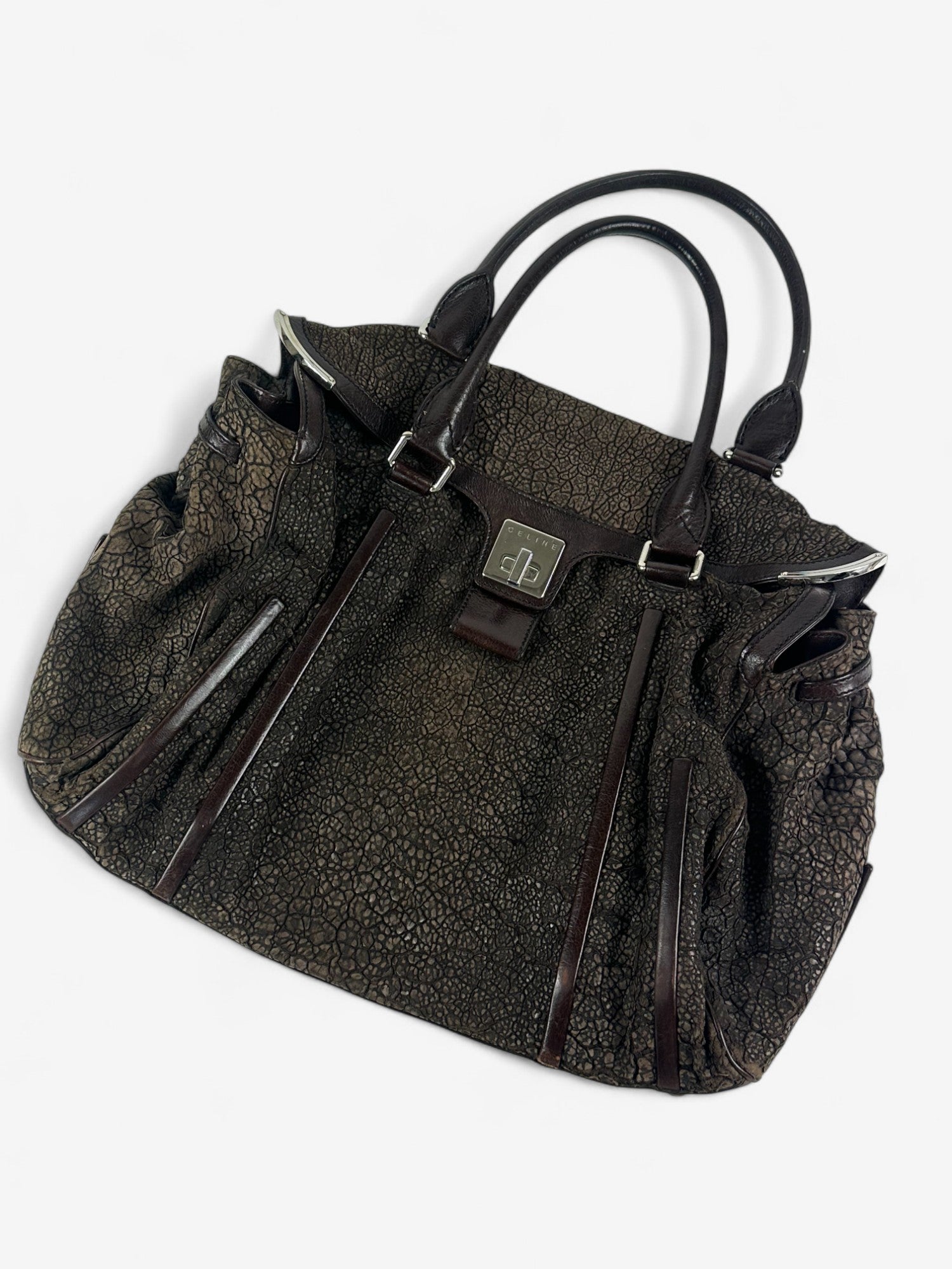 Celine Exotic Tote bag