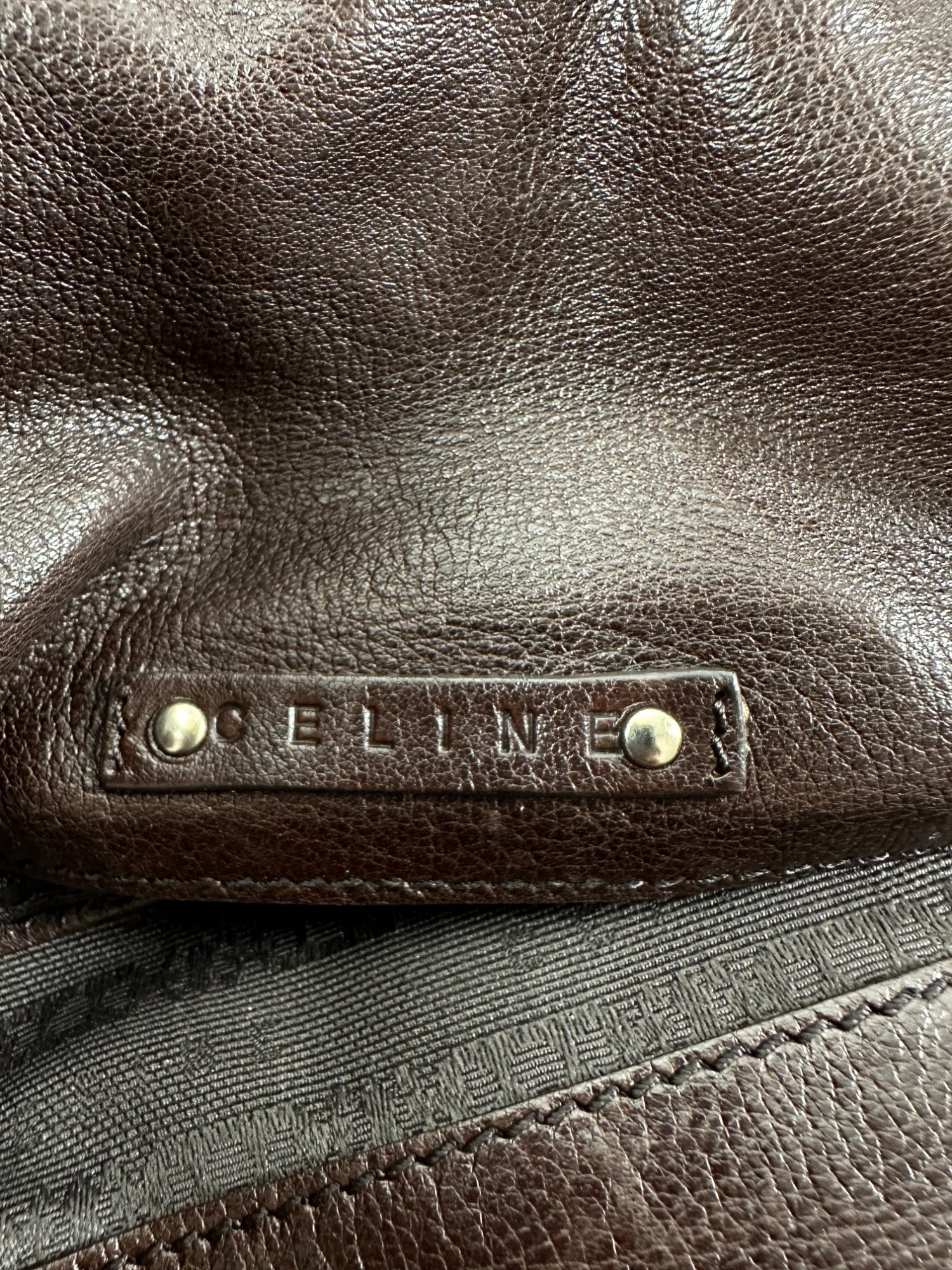 Celine Exotic Tote bag