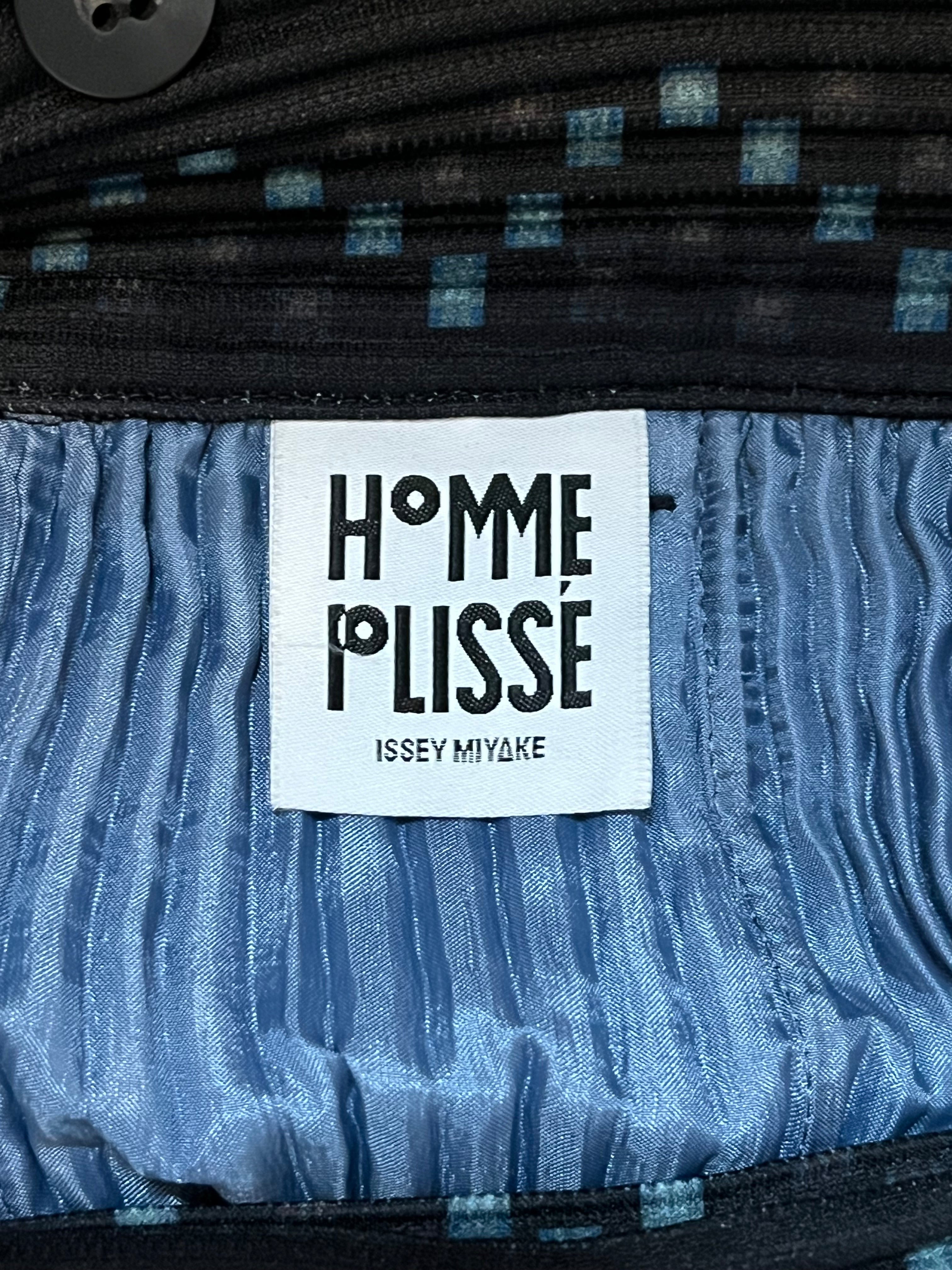 Issey Miyake Trousers