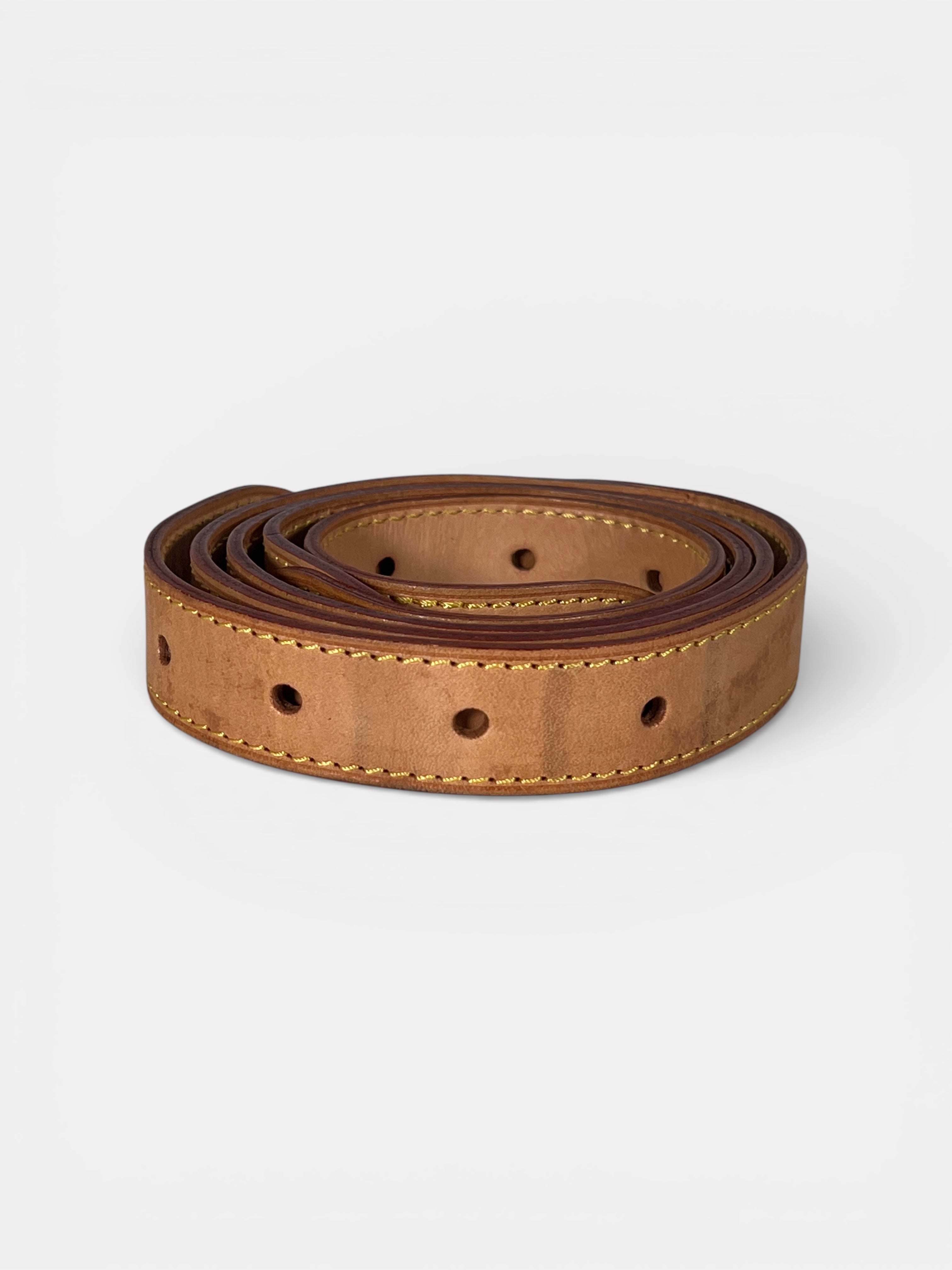 Louis Vuitton Baggy
