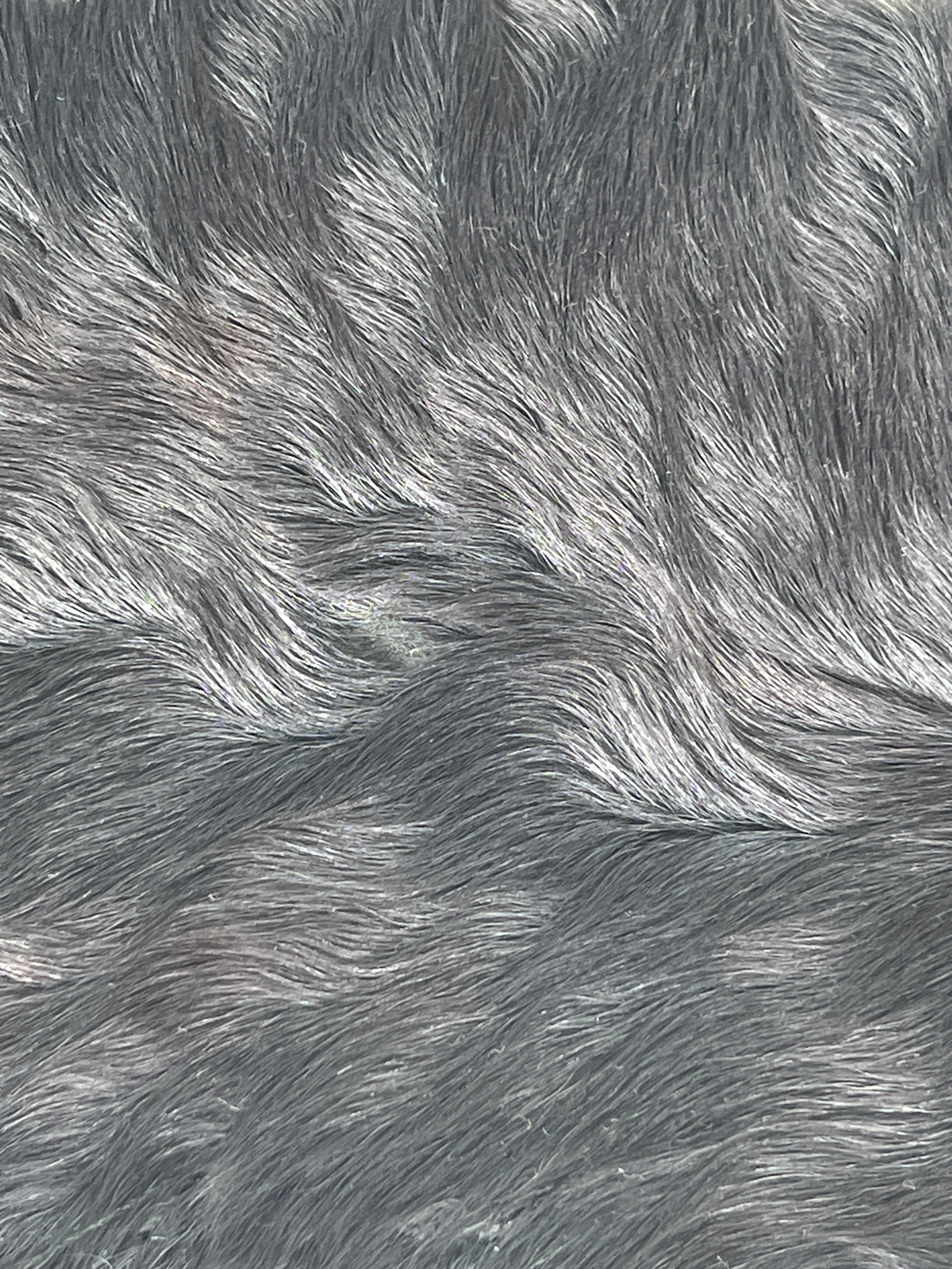 Miu Miu 100% Lamb Fur Collar
