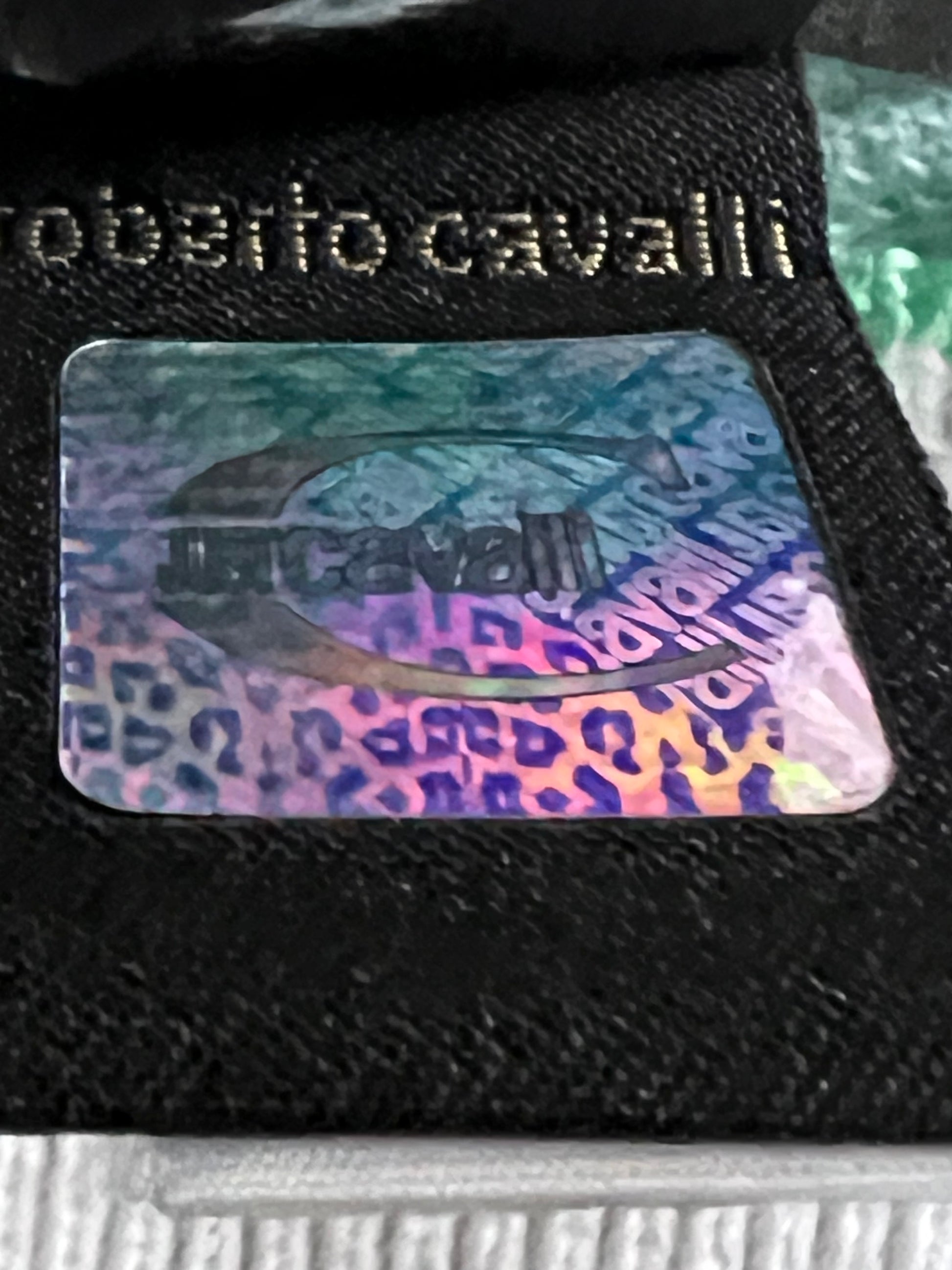 Roberto Cavalli Polo