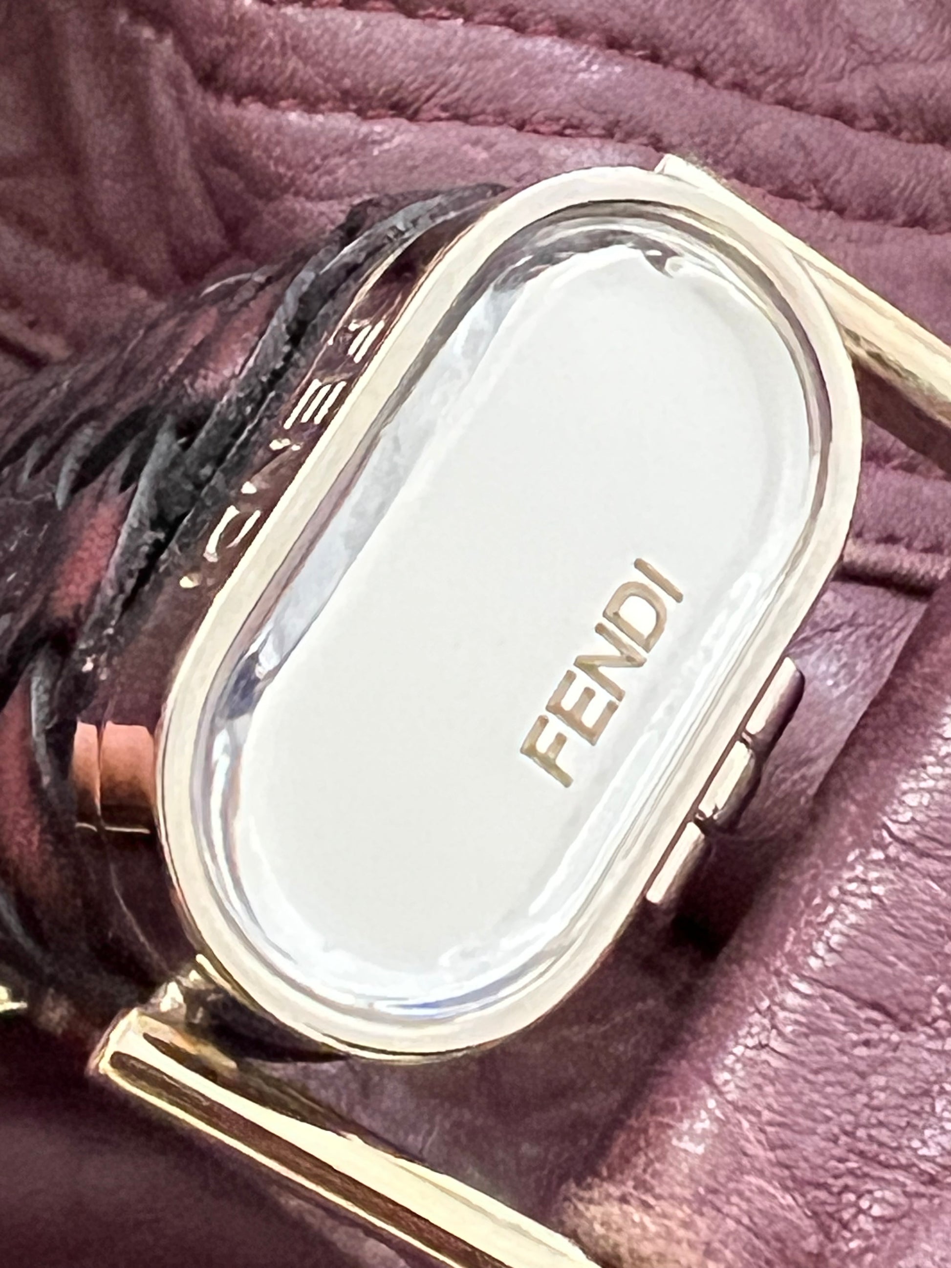 Fendi Spybag