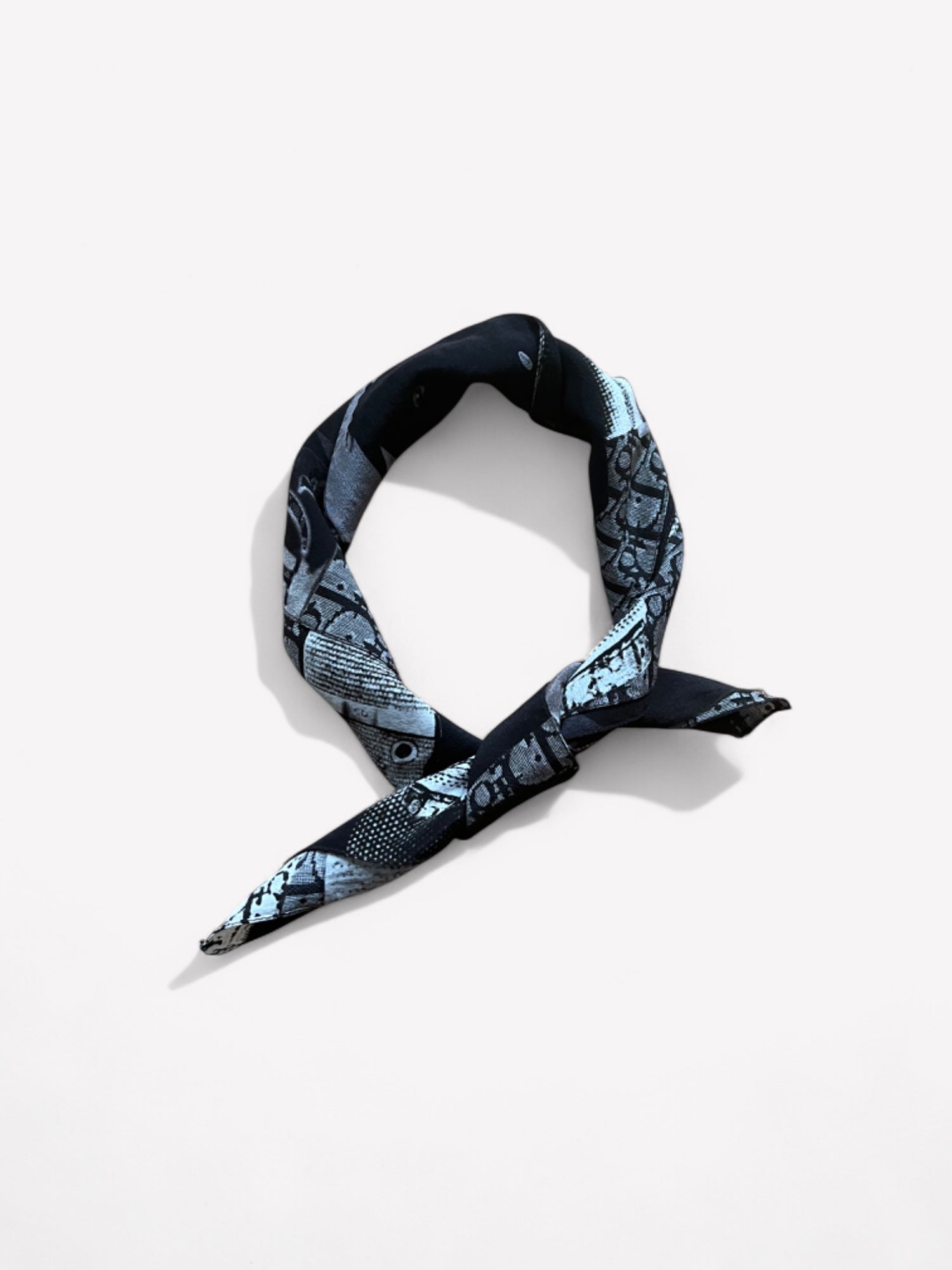 Dior Scarf