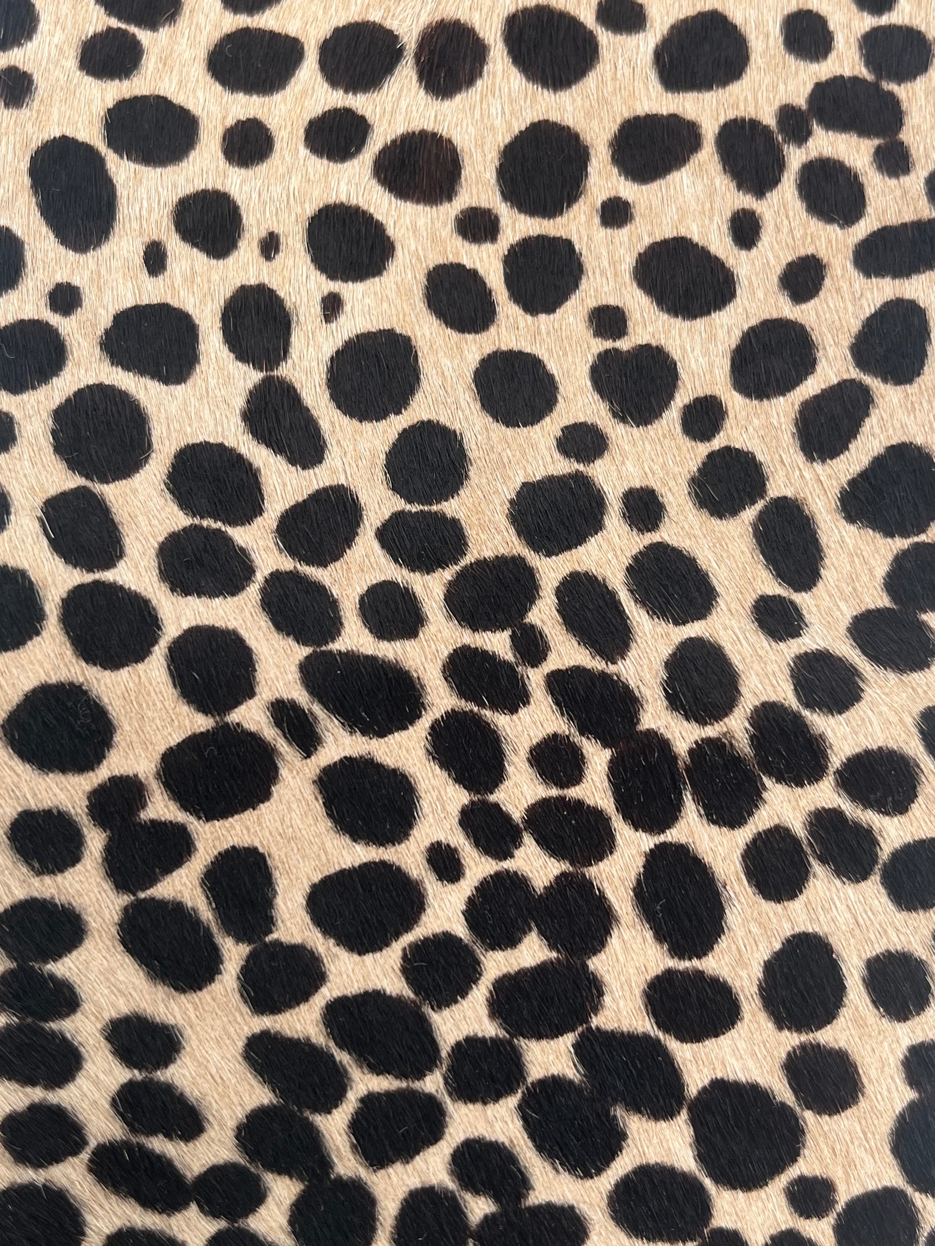 Roberto Cavalli mittens