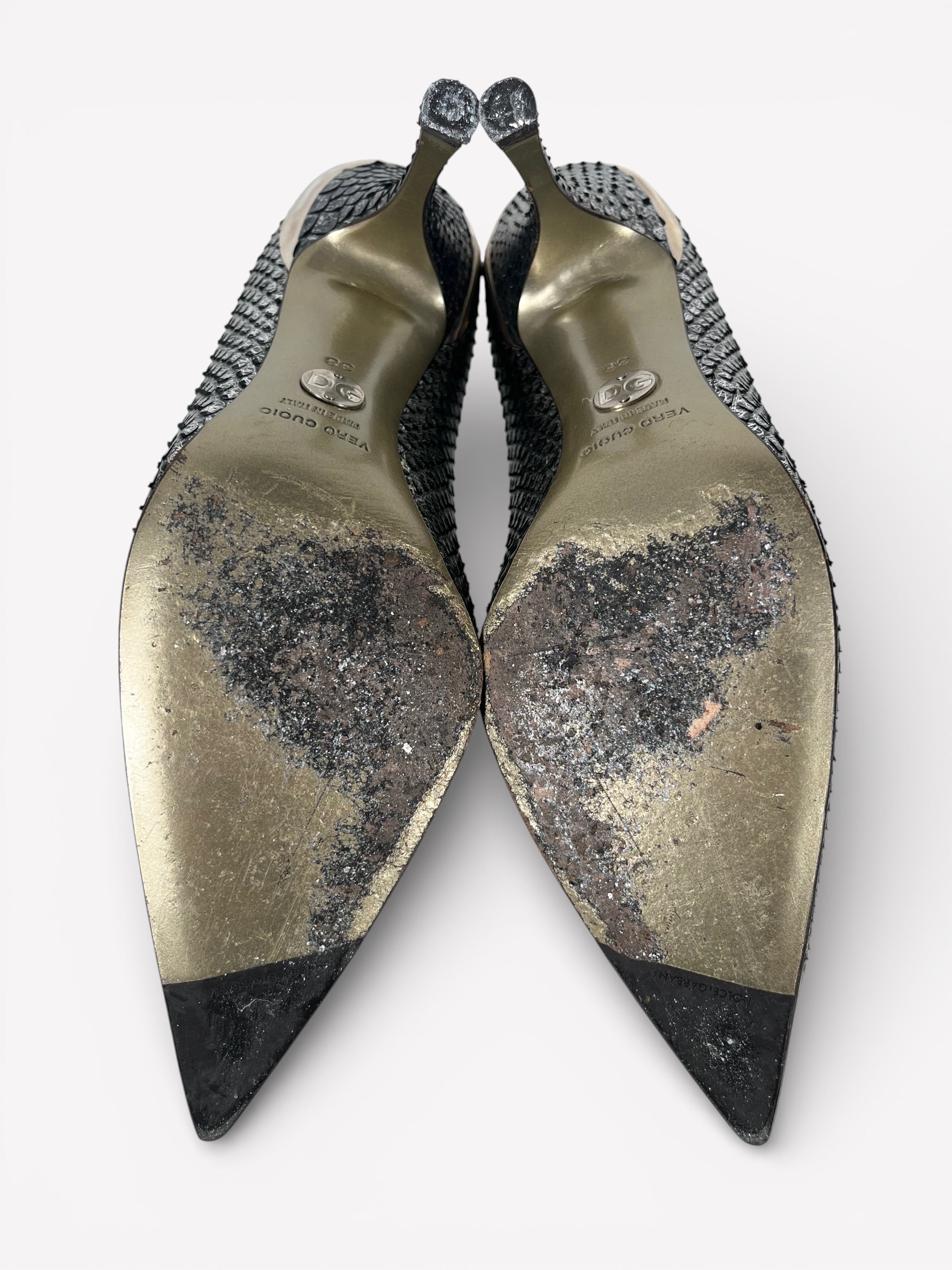 D&G Python Pumps